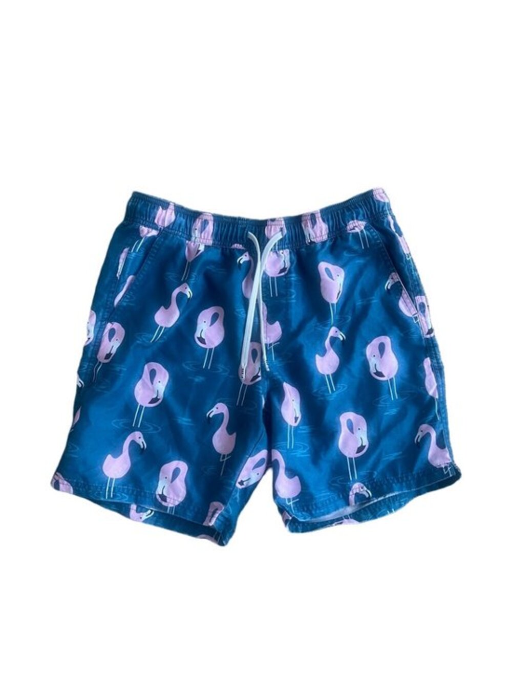 Men's Blue Flamingo Print Swim Trunks
